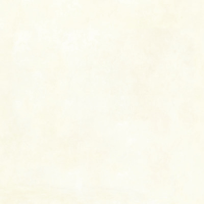 COTTO MARFIL - 56x56 - 2,17 M2 - 1º - LOURDES